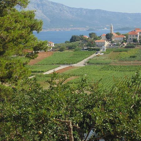 Villa Apartments Mate Cebalo Λομπάρδα Εξωτερικό φωτογραφία