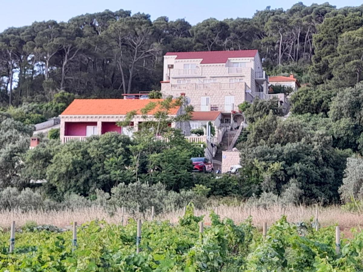 Villa Apartments Mate Cebalo Λομπάρδα Εξωτερικό φωτογραφία