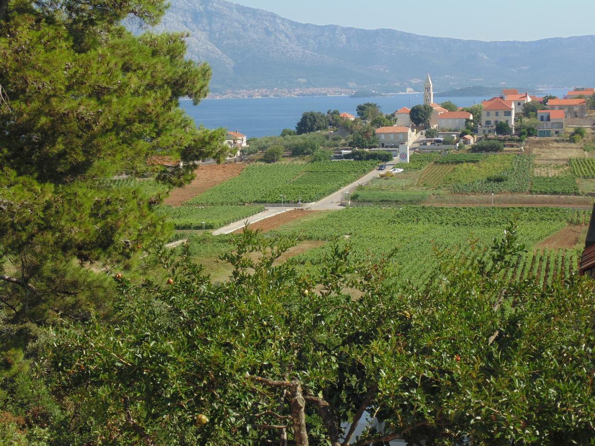 Villa Apartments Mate Cebalo Λομπάρδα Εξωτερικό φωτογραφία